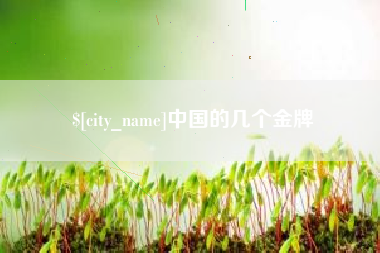 儋州中国的几个金牌