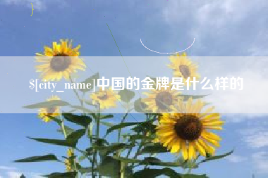 儋州中国的金牌是什么样的