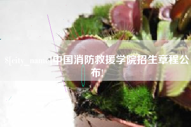儋州中国消防救援学院招生章程公布!