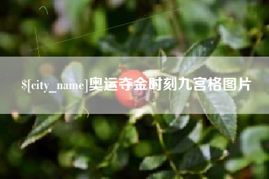 儋州奥运夺金时刻九宫格图片