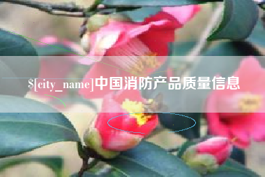 儋州中国消防产品质量信息