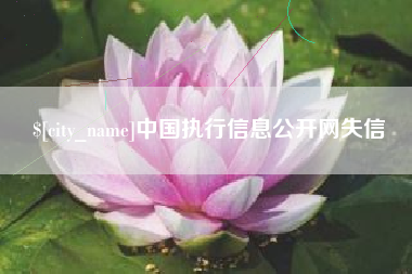 儋州中国执行信息公开网失信