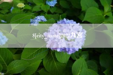 儋州2022九宫