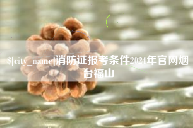 儋州消防证报考条件2024年官网烟台福山