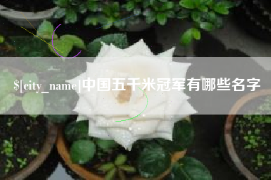 儋州中国五千米冠军有哪些名字