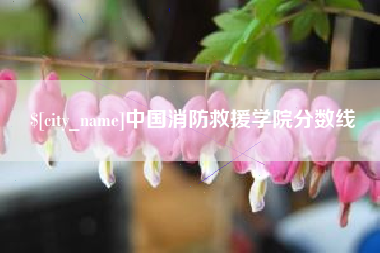 儋州中国消防救援学院分数线