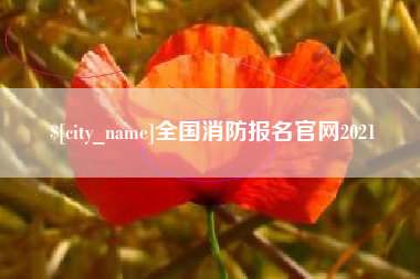 儋州全国消防报名官网2021