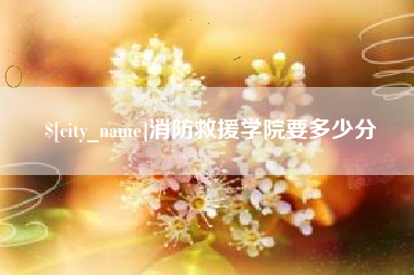 儋州消防救援学院要多少分