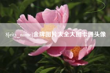 儋州金牌图片大全大图卡通头像