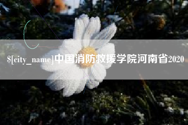 儋州中国消防救援学院河南省2020
